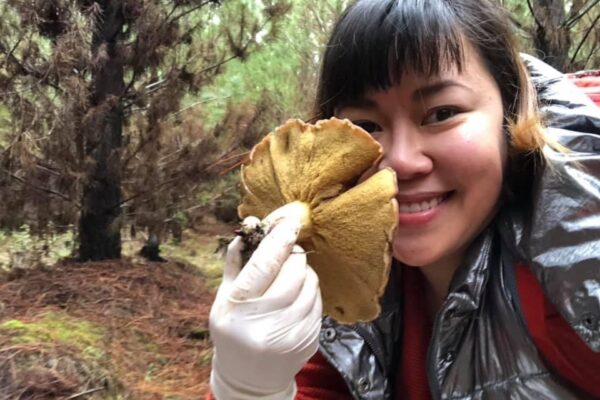 Nấm Slippery Jack có mũ rất trơn và dính