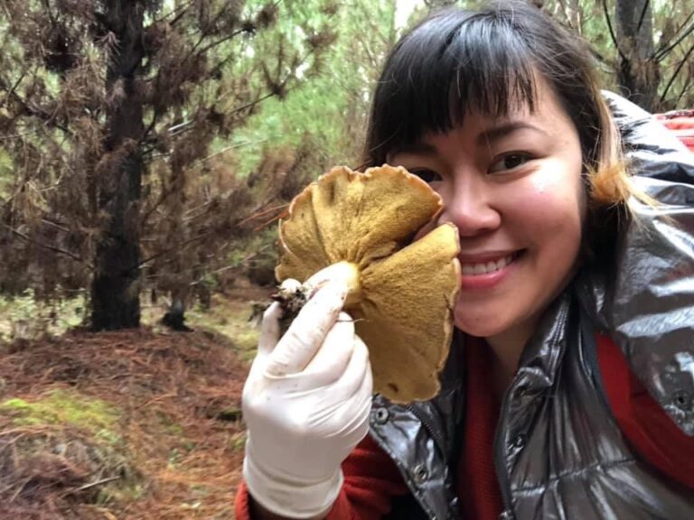 Du lịch Melbourne: Mùa nấm thịt Slippery Jacks