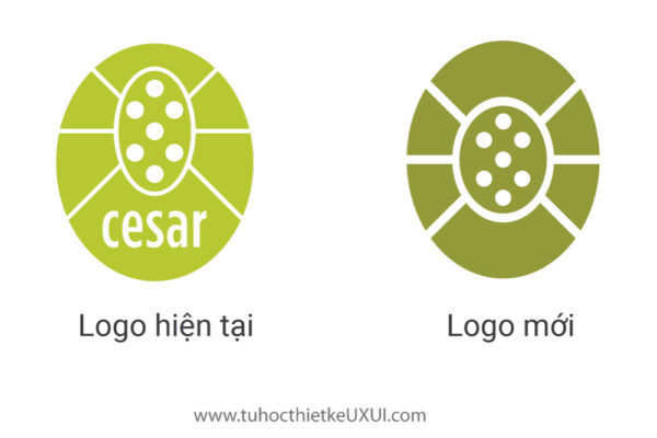 Accessibility và sơ lược về 6 nhóm font chữ Logo của công ty được vẽ trên ý tưởng 1 chú bọ rùa.