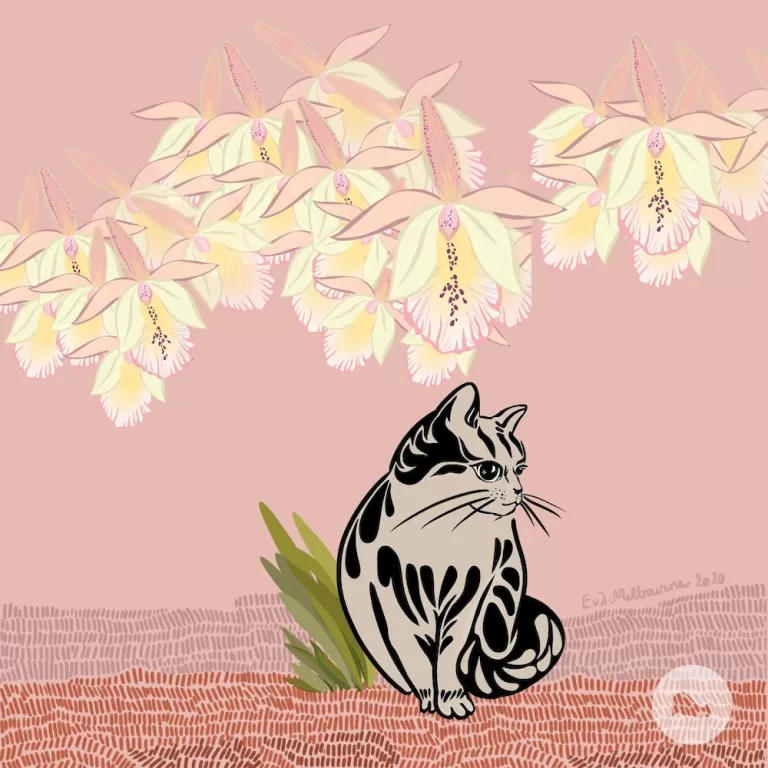 12000 năm thái độ con mèo là như thế nào?