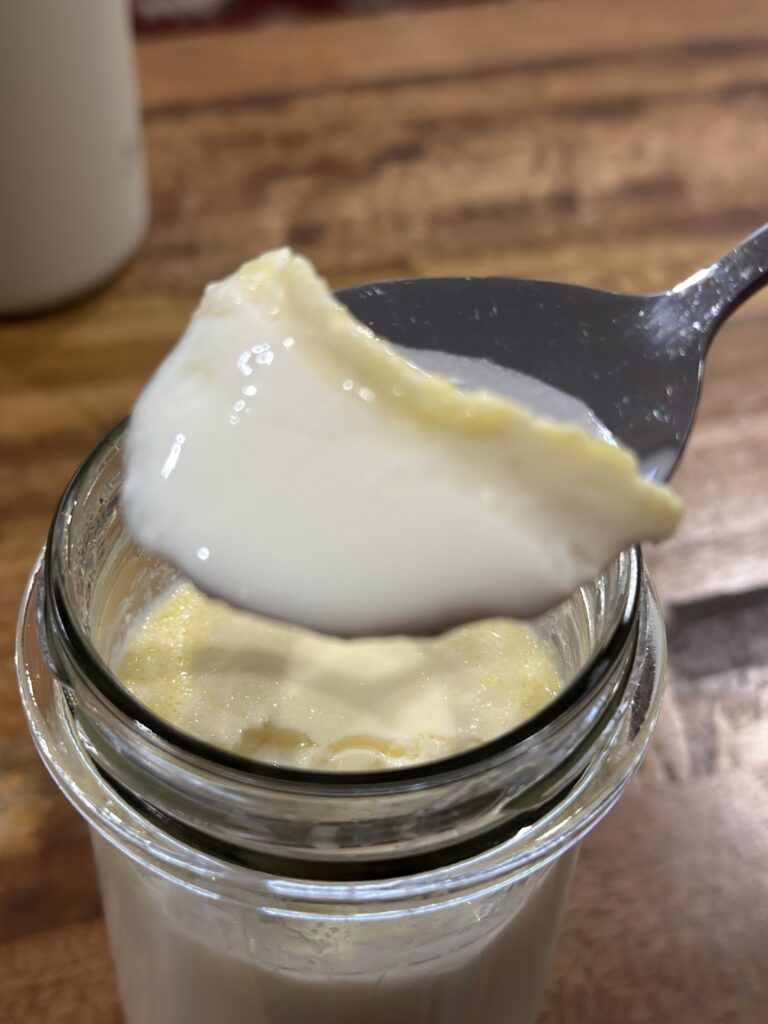 Super Yogurt nuôi từ men Yakult – probiotic