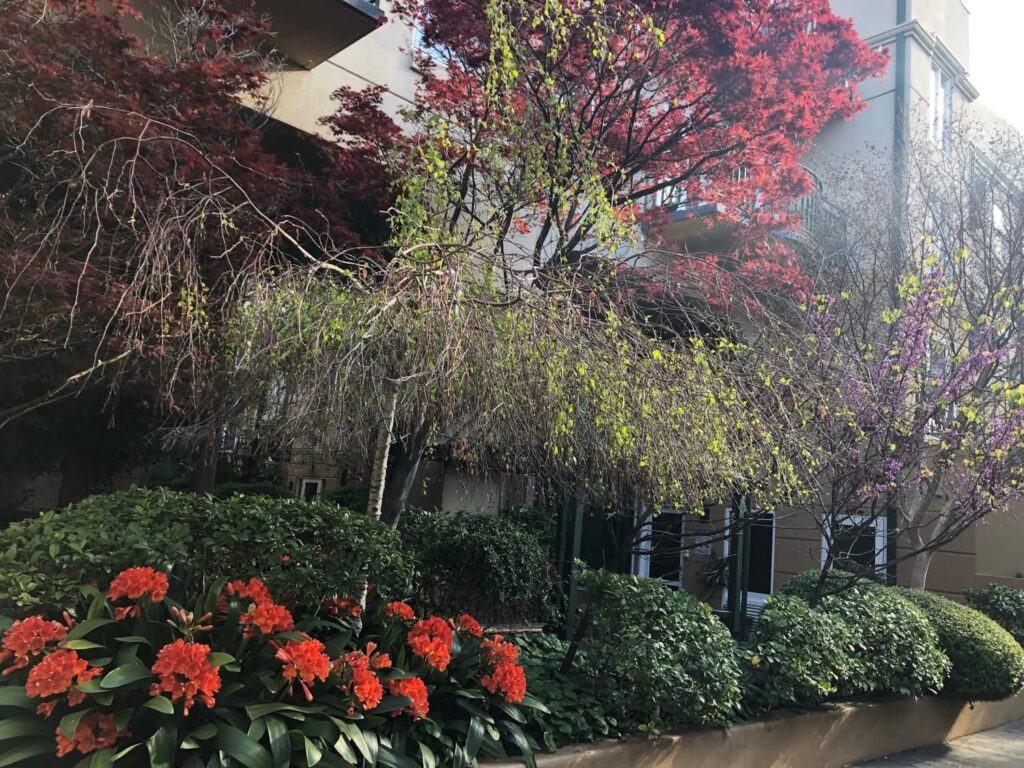 Sân vườn chung của một khu chung cư Melbourne